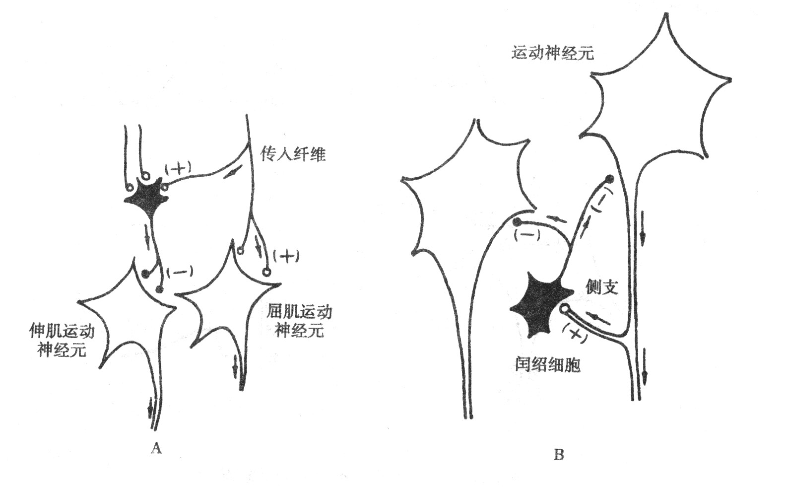 威尼斯wns·8885556